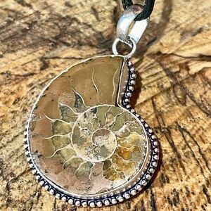 Earthy Ammonite Pendant 2”
